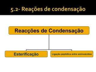 Reacções de Condensação



Esterificação   Ligação peptídica entre aminoácidos
 