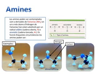 Amines       Les amines poden ser contemplades com a derivades de l’amoníac (NH3)on un o més àtoms d'hidrogen de l’amoníac han estat substituïts per un radical alifàtic (cadena oberta, R) o aromàtic (cadena tancada, Ar). En funció d’aquestes circumstàncies les amines poden ser:NitrogenExemples:Carbonitrimetilaminadimetilaminaetilamina