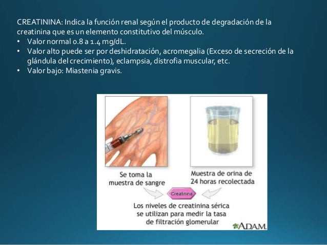Química sanguínea Química sanguínea