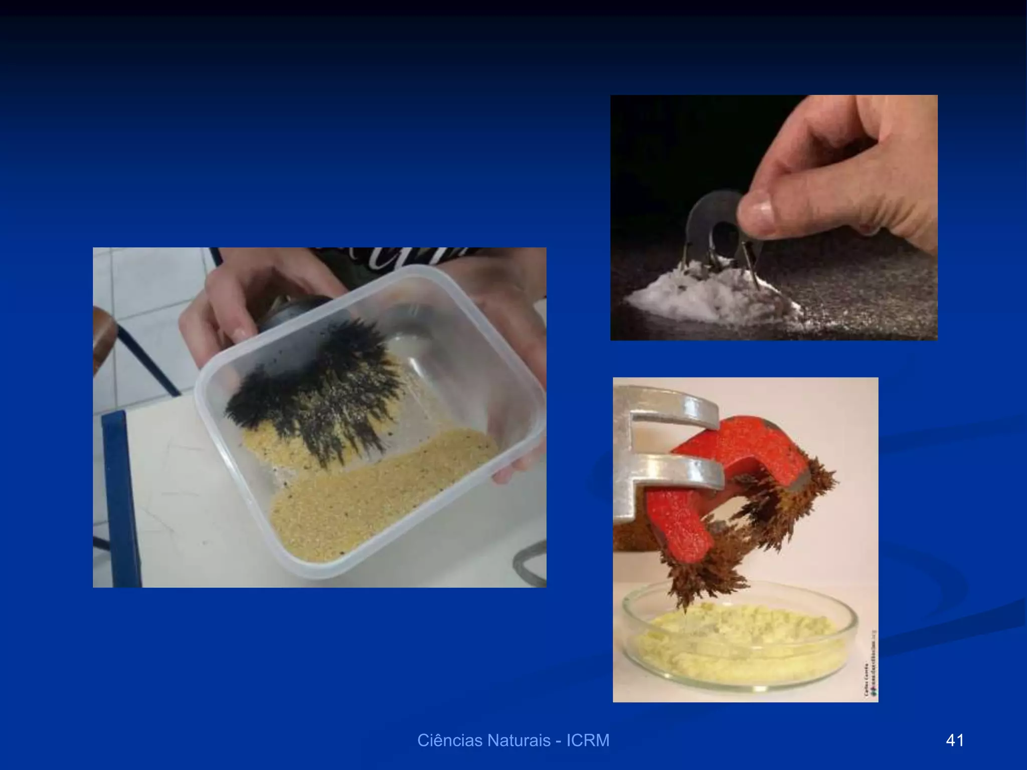 Ciências Naturais - ICRM 41
 