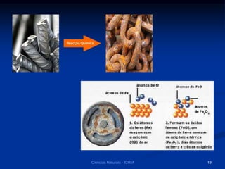 Ciências Naturais - ICRM 19
 
