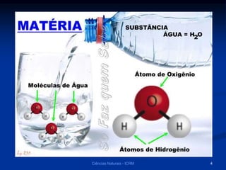 Ciências Naturais - ICRM 4
 