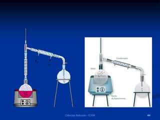 Ciências Naturais - ICRM 44
 