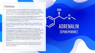 Aminas
◦ Los aminoácidos contienen un grupo amino y un grupo carboxilo
enlazados al mismo átomo de carbono. Los aminoácidos se enlazan
entre sí a través de estos dos grupos dando un enlace amida formando
las proteínas. En un extremo queda un grupo amino terminal.
◦ Como consecuencia de los procesos de degradación, las proteínas se
descomponen dando distintas aminas. Por ejemplo, la 1,5-
pentanodiamina (cadaverina), el escatol (un compuesto heterocíclico),
la 1,4-butanodiamina (putrescina), etcétera.
◦ Los alcaloides son compuestos complejos que se encuentran en las
plantas y contienen grupos amina. Algunos ejemplos son la morfina,
la nicotina, etc.
◦ Algunas aminas son biológicamente importantes. La adrenalina,
la noradrenalina, la mescalina, etc., son compuestos similares llamados
β-feniletilaminas. Las sulfamidas contienen un grupo amino y son
compuestos que afectan a las bacterias, pero no al ser humano, debido
a que inhiben al enzima responsable de la síntesis de ácido fólico,
necesario para las bacterias. El neurotransmisor GABA (ácido 4-
aminobutanoico) también contiene un grupo amino. Por otra parte,
algunos derivados del ácido p-aminobenzoico se emplean como
anestésicos.
◦ También están las aminas heterociclicas, compuestos con elevada
actividad mutagénica generados durante el procesado térmico de
alimentos proteicos.
 