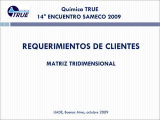 Química TRUE  14° ENCUENTRO SAMECO 2009  REQUERIMIENTOS DE CLIENTES MATRIZ TRIDIMENSIONAL UADE,  Buenos  Aires, octubre 2009 