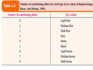 Qunatative inheritance by iqra aslam 
