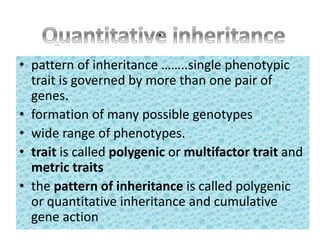 .
• pattern of inheritance ……..single phenotypic
trait is governed by more than one pair of
genes.
• formation of many possible genotypes
• wide range of phenotypes.
• trait is called polygenic or multifactor trait and
metric traits
• the pattern of inheritance is called polygenic
or quantitative inheritance and cumulative
gene action
 