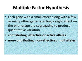 Multiple Factor Hypothesis
• Each gene with a small effect along with a few
or many other genes exerting a slight effect on
the phenotype are segregating to produce
quantitative variation
• contributing, effective or active alleles
• non-contributing, non-effectiveor null alleles.
 