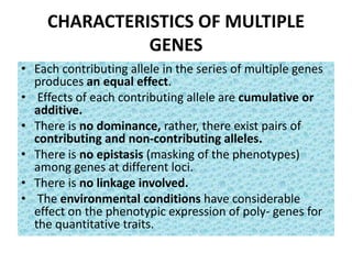 CHARACTERISTICS OF MULTIPLE
GENES
• Each contributing allele in the series of multiple genes
produces an equal effect.
• Effects of each contributing allele are cumulative or
additive.
• There is no dominance, rather, there exist pairs of
contributing and non-contributing alleles.
• There is no epistasis (masking of the phenotypes)
among genes at different loci.
• There is no linkage involved.
• The environmental conditions have considerable
effect on the phenotypic expression of poly- genes for
the quantitative traits.
 