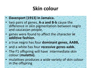 Skin colour
• Davenport (1913) in Jamaica.
• two pairs of genes, A-a and B-b cause the
difference in skin pigmentation between negro
and caucasian people.
• genes were found to affect the character in
additive fashion.
• a true negro has four dominant genes, AABB,
• and a white has four recessive genes aabb.
• The F1 offspring will have intermediate skin
colour (mulatto).
• mulattoes produces a wide variety of skin colour
in the offspring
 