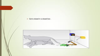  Cat is closed in a closed box .
 