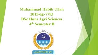 Muhammad Habib Ullah
2015-ag-7783
BSc Hons Agri Sciences
4th Semester B
 