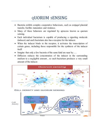1
QUORUM SENSING
 Bacteria exhibit complex cooperative behaviours, such as conjugal plasmid
transfer, biofilm maturation and virulence.
 Many of these behaviors are regulated by aprocess known as quorum
sensing.
 Each individual bacterium is capable of producing a signaling molecule
(inducer) and each bacterium also has a receptor for the inducer.
 When the inducer binds to the receptor, it activates the transcription of
certain genes, including those responsible for the synthesis of the inducer
itself.
 Imagine that only a few bacteria of the same kind are near by…..
 Diffusion reduces the concentration of the inducer in the surrounding
medium to a negligible amount , so each bacterium produces a very small
amount of the inducer.
 