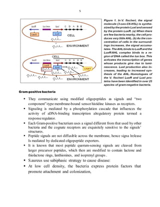 Quorum sensing | PDF