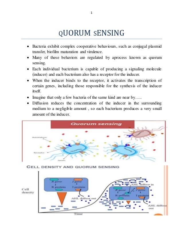 quorum sensing what is quorum sensing