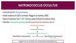 NATRONOCOCCUS OCCULTUS
• Haloalkaliphile/ Euryarchaeota
• Initial evidence for QS in archaea: Paggi & co-workers, 2003
• Quorum sensing Type 1 (AI-1 based) using homoserine lactone (HLs)
• Secrete extracellular protease in late exponential & stationary phase
Paggi, R. A. et. al. (2003). doi: 10.1016/s0378-1097(03)00174-5 14
 