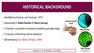 • Identified by Nealson and Hastings, 1979
• Discovered in Vibrio fischeri & Vibrio harveyi
• V. fischeri: a symbiotic microbiota of bobtail squid light organ
• V. harveyi: a free living marine bacterium
• QS termed by: Dr. Steven Winans, 1994
Nealson, K. H., & Hastings, J. W. (1979)
Hawaiian bobtail
squid
Vibrio harveyi
Vibrio fischeri
HISTORICAL BACKGROUND
4
 