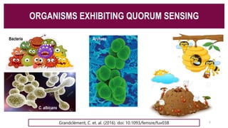 ORGANISMS EXHIBITING QUORUM SENSING
6
C. albicans
Bacteria Archaea
Grandclément, C. et. al. (2016). doi: 10.1093/femsre/fuv038
 