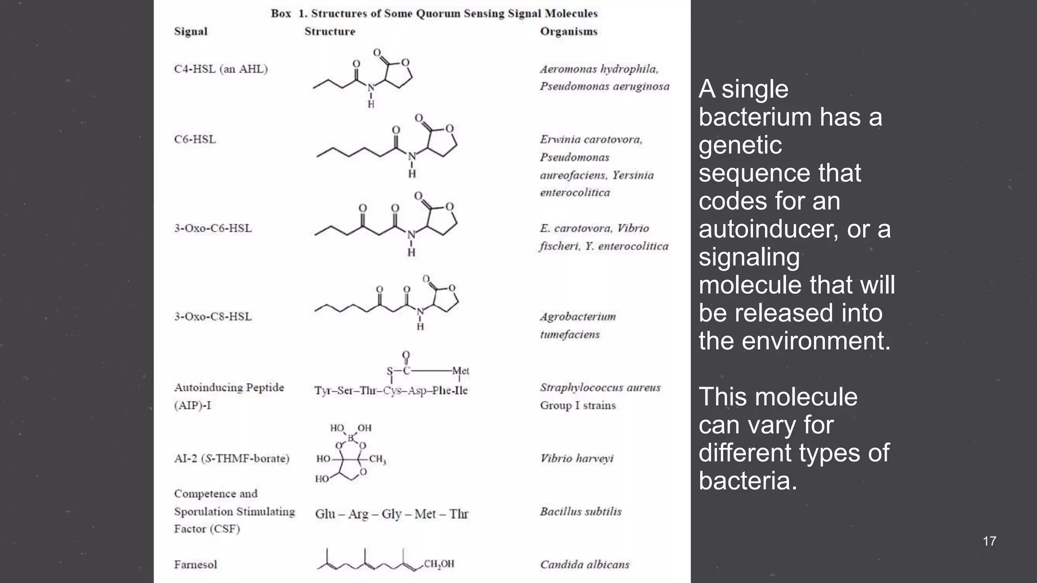 17
A single
bacterium has a
genetic
sequence that
codes for an
autoinducer, or a
signaling
molecule that will
be released into
the environment.
This molecule
can vary for
different types of
bacteria.
 