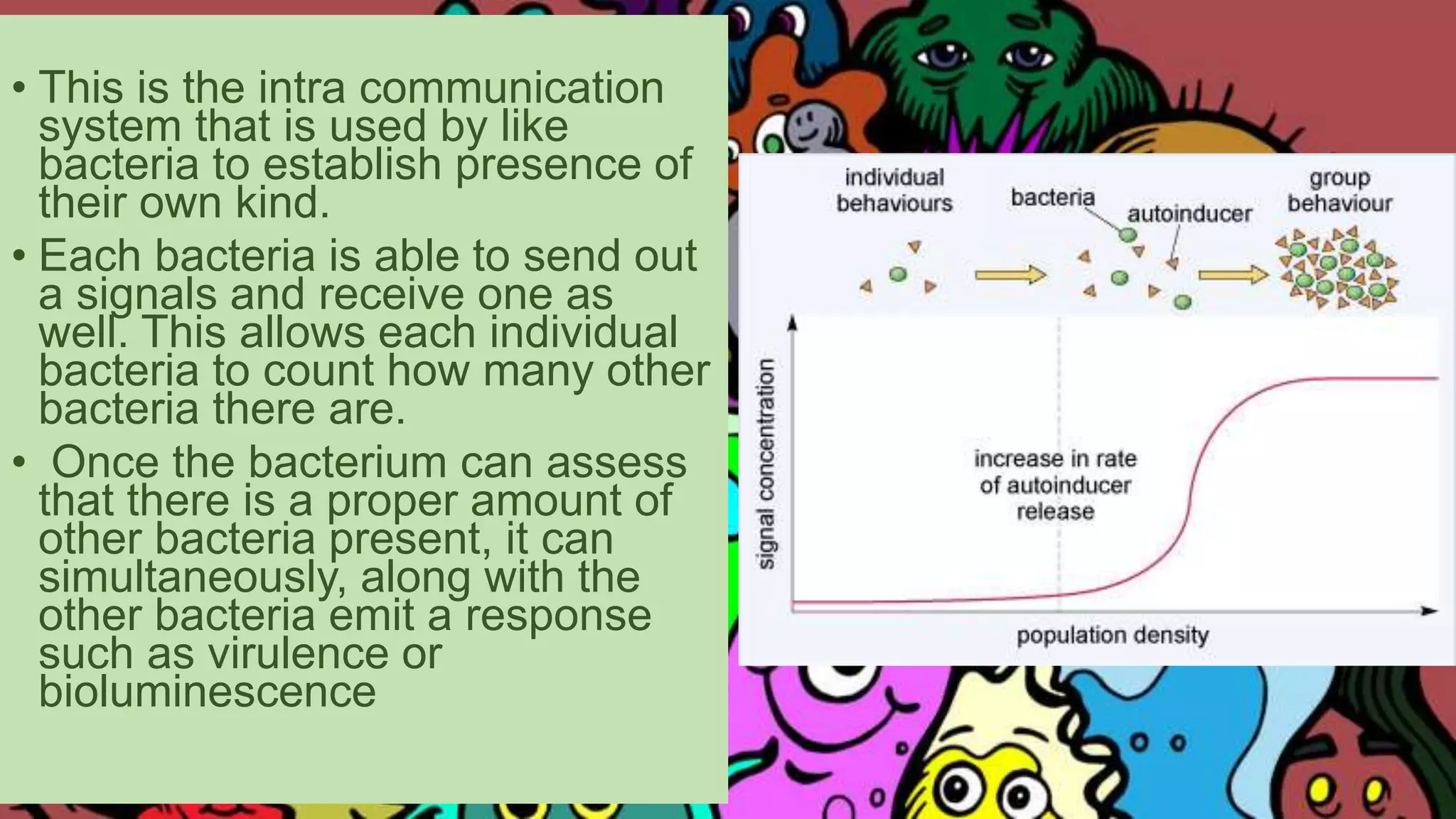 • This is the intra communication
system that is used by like
bacteria to establish presence of
their own kind.
• Each bacteria is able to send out
a signals and receive one as
well. This allows each individual
bacteria to count how many other
bacteria there are.
• Once the bacterium can assess
that there is a proper amount of
other bacteria present, it can
simultaneously, along with the
other bacteria emit a response
such as virulence or
bioluminescence
 