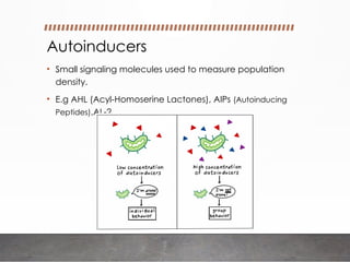 Understanding Quorum Sensing: The Chemical Language of Bacterial ...