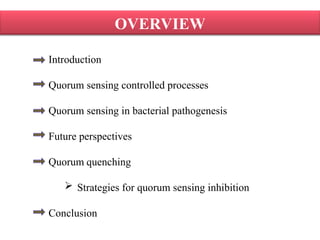 Future Perspectives of Quorum Sensing in Bacterial Diseases of Animals ...