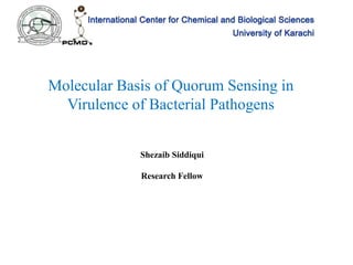 Molecular Basis of Quorum Sensing in
Virulence of Bacterial Pathogens
Tuesday, May 31, 2016 1
Shezaib Siddiqui
Research Fellow
 