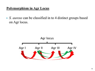 Quorum sensing 2016 | PPTX
