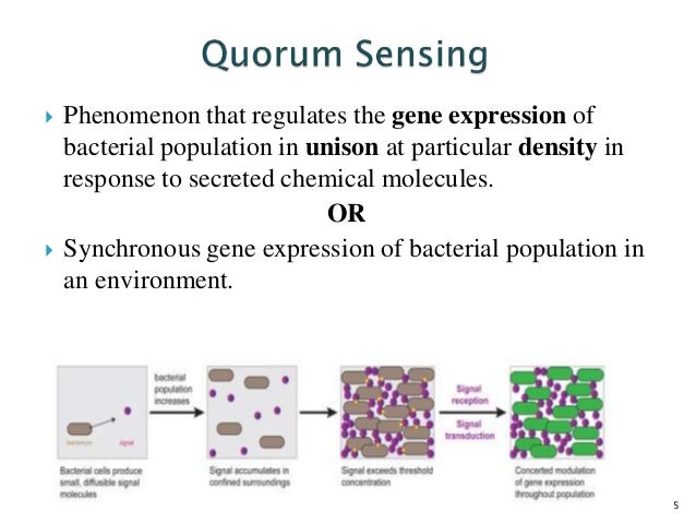 quorum sensing 2016 what is quorum sensing