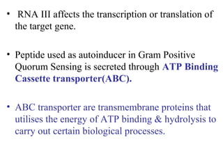 • RNA III affects the transcription or translation of
the target gene.
• Peptide used as autoinducer in Gram Positive
Quorum Sensing is secreted through ATP Binding
Cassette transporter(ABC).
• ABC transporter are transmembrane proteins that
utilises the energy of ATP binding & hydrolysis to
carry out certain biological processes.
 