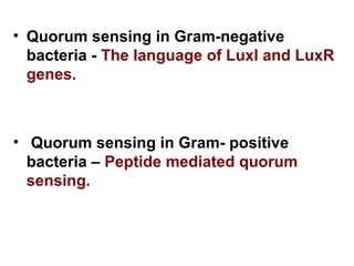• Quorum sensing in Gram-negative
bacteria - The language of LuxI and LuxR
genes.
• Quorum sensing in Gram- positive
bacteria – Peptide mediated quorum
sensing.
 