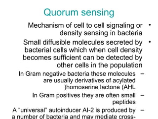 Quorum sensing
•Mechanism of cell to cell signaling or
density sensing in bacteria
•Small diffusible molecules secreted by
bacterial cells which when cell density
becomes sufficient can be detected by
other cells in the population
–In Gram negative bacteria these molecules
are usually derivatives of acylated
homoserine lactone (AHL(
–In Gram positives they are often small
peptides
–A “universal” autoinducer AI-2 is produced by
a number of bacteria and may mediate cross-
 