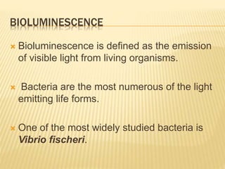 BIOLUMINESCENCE
 Bioluminescence is defined as the emission
of visible light from living organisms.
 Bacteria are the most numerous of the light
emitting life forms.
 One of the most widely studied bacteria is
Vibrio fischeri.
 