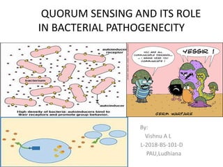 Quorum Sensing Types Quorum Sensing Mechanisms and Their Role in Bacterial Pathogenicity | PPTX