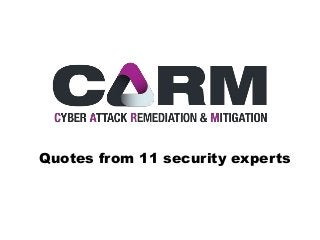 Quotes from 11 security experts
 