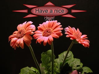 Have a nice day!   
