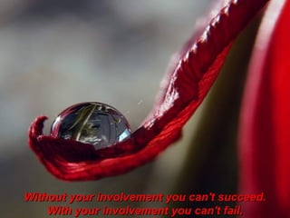 Without your involvement you can't succeed. With your involvement you can't fail. 