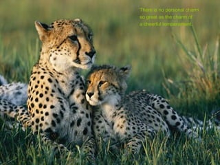 There is no personal charm
so great as the charm of
a cheerful temperament.
 