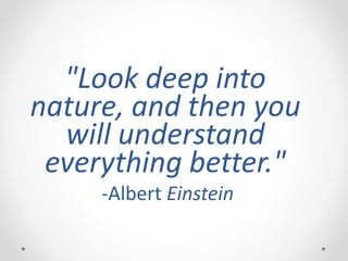 "Look deep into
nature, and then you
will understand
everything better."
-Albert Einstein
 