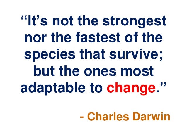 Quotes power point - 2014