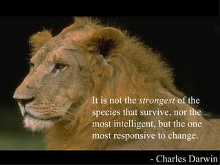 It is not the  strongest  of the species that survive, nor the most intelligent, but the one most responsive to change. - Charles Darwin 