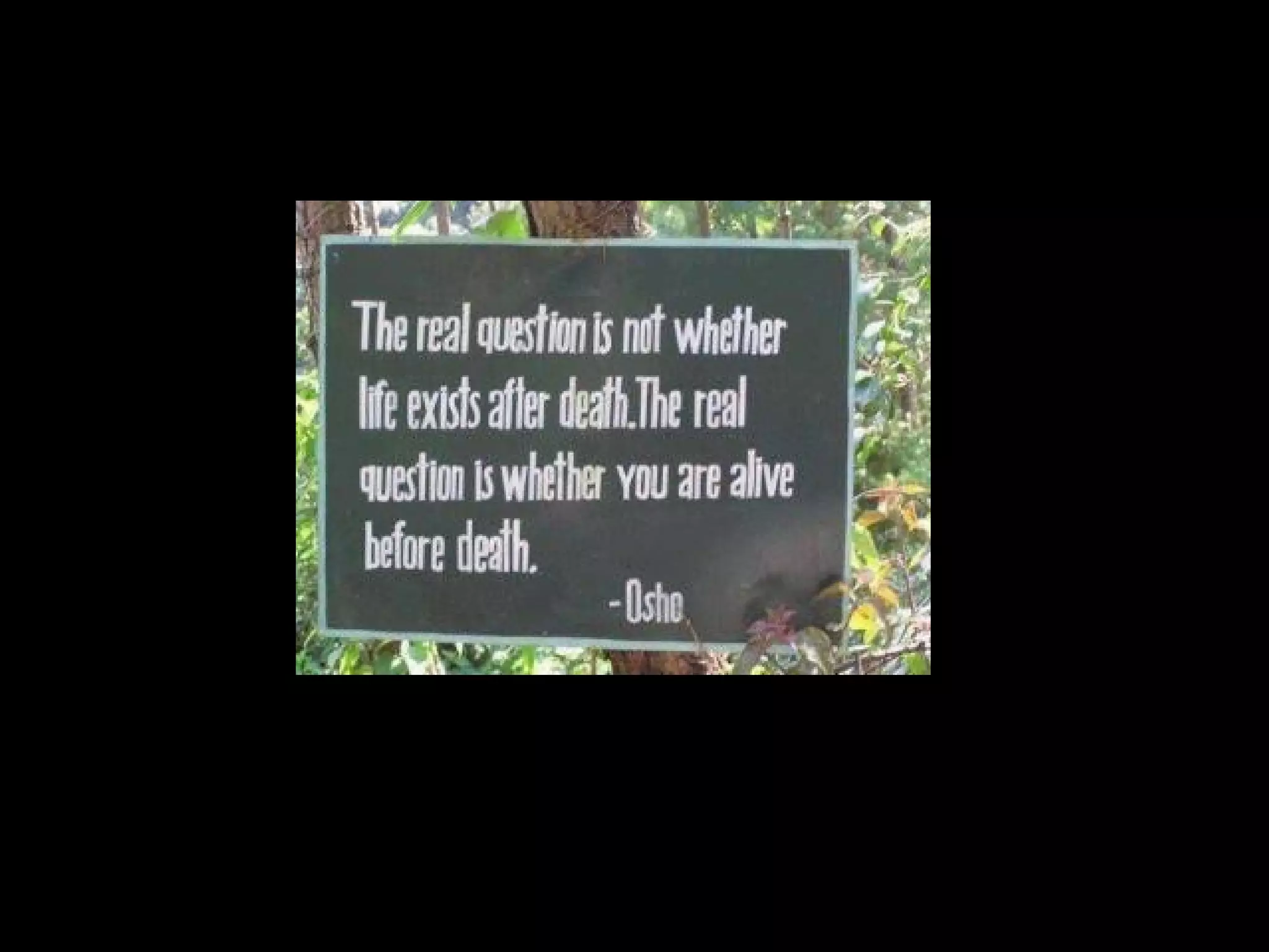 Quotes by philosophers