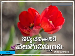 CO EDUCATION MEANING IN TELUGU EXAMPLES visual data 8