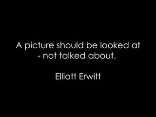A picture should be looked at - not talked about.  Elliott Erwitt 