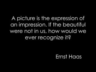 A picture is the expression of an impression. If the beautiful were not in us, how would we ever recognize it?   Ernst Haas 