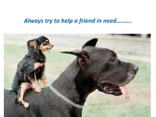 Always try to help a friend in need………. 