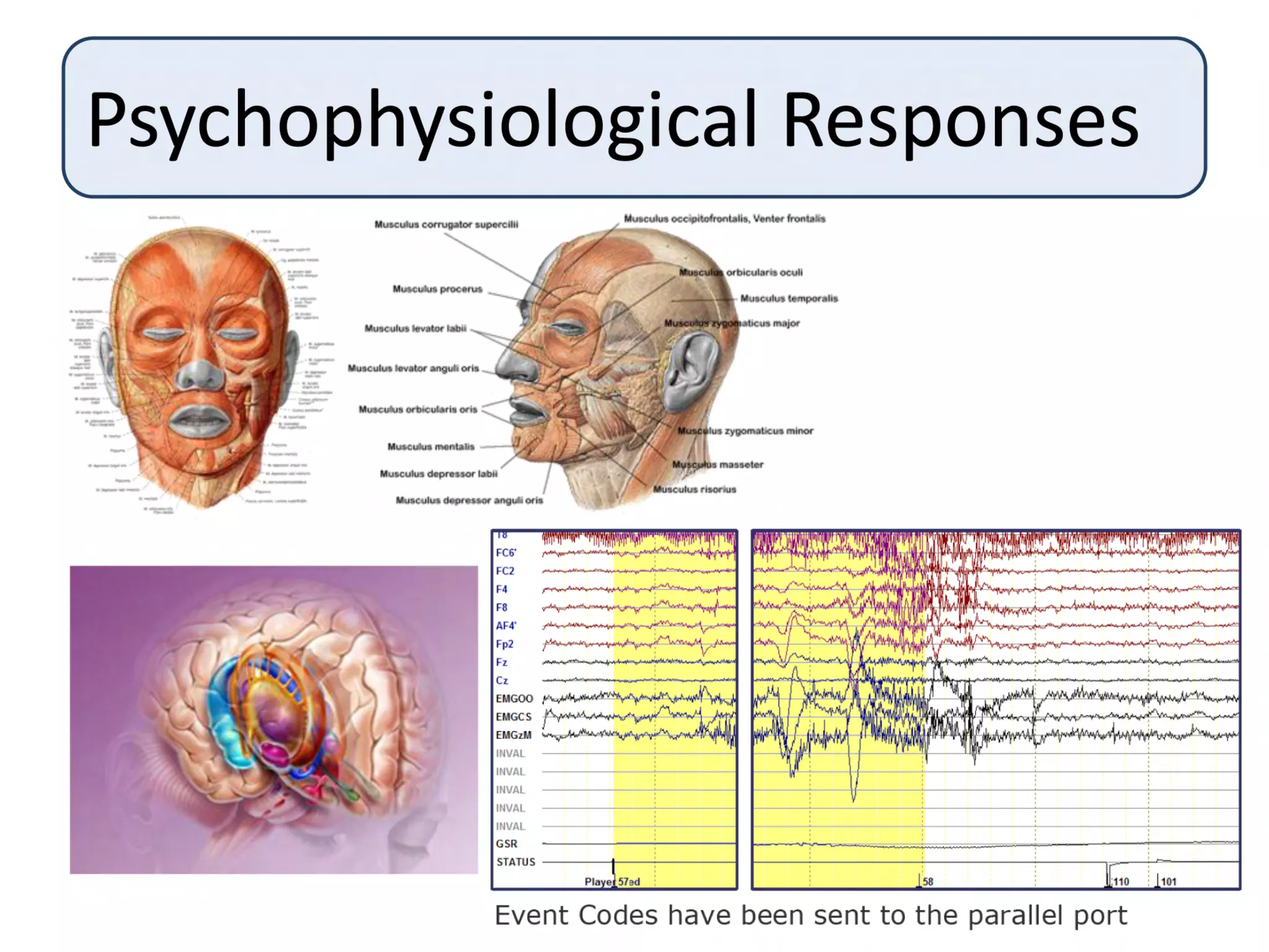 Quo Vadis 2008: Focus on your players - Interaction and Psychophysiology Talk