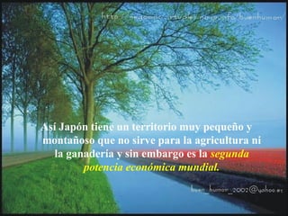 Así Japón tiene un territorio muy pequeño y
montañoso que no sirve para la agricultura ni
la ganadería y sin embargo es la segunda
potencia económica mundial.
 