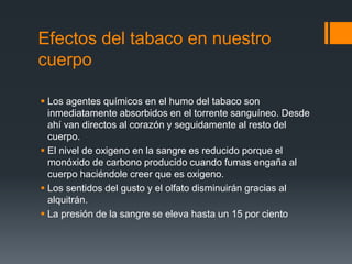 Efectos del tabaco en nuestro
cuerpo
 Los agentes químicos en el humo del tabaco son
inmediatamente absorbidos en el torrente sanguíneo. Desde
ahí van directos al corazón y seguidamente al resto del
cuerpo.
 El nivel de oxigeno en la sangre es reducido porque el
monóxido de carbono producido cuando fumas engaña al
cuerpo haciéndole creer que es oxigeno.
 Los sentidos del gusto y el olfato disminuirán gracias al
alquitrán.
 La presión de la sangre se eleva hasta un 15 por ciento
 