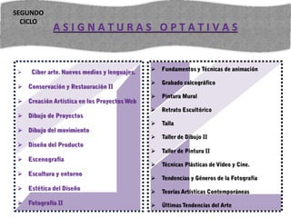 ASIGNATURAS OPTATIVAS